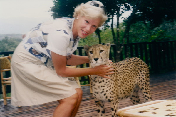 Heidi.... playing with tame Cheetah " Savannah " at. Mt. Kenya... Kenya, East-Africa